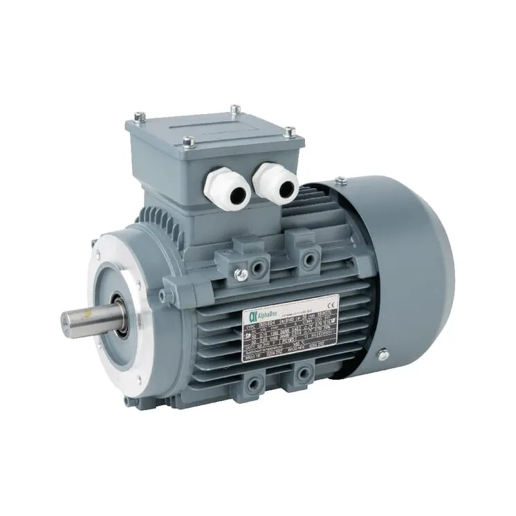 Electric motor 0,75 kW  015602 AGRALV 1619015501