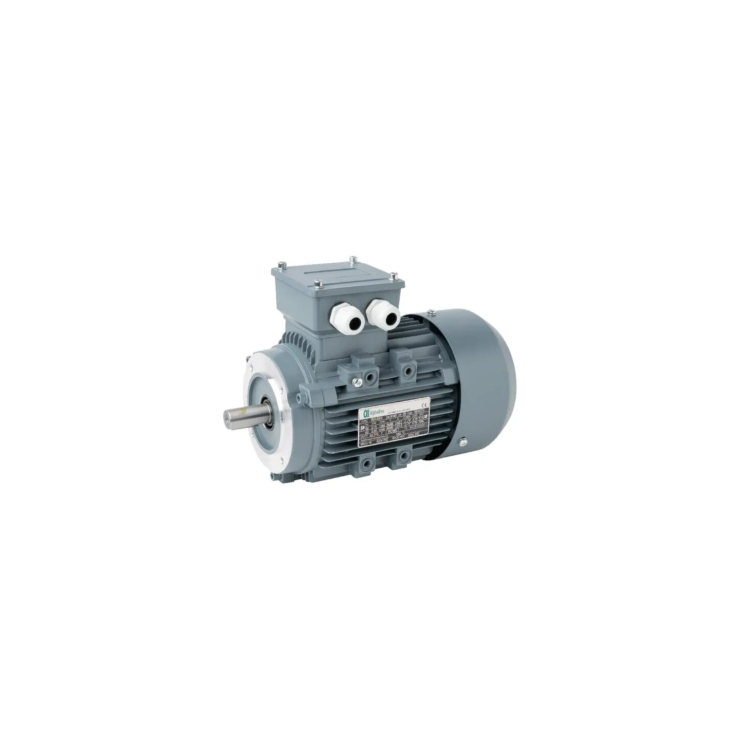 Electric motor 0,75 kW  015602 AGRALV 1619015501