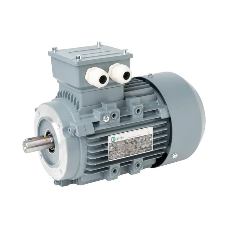 Electric motor 1,1 kW  015603 AGRALV