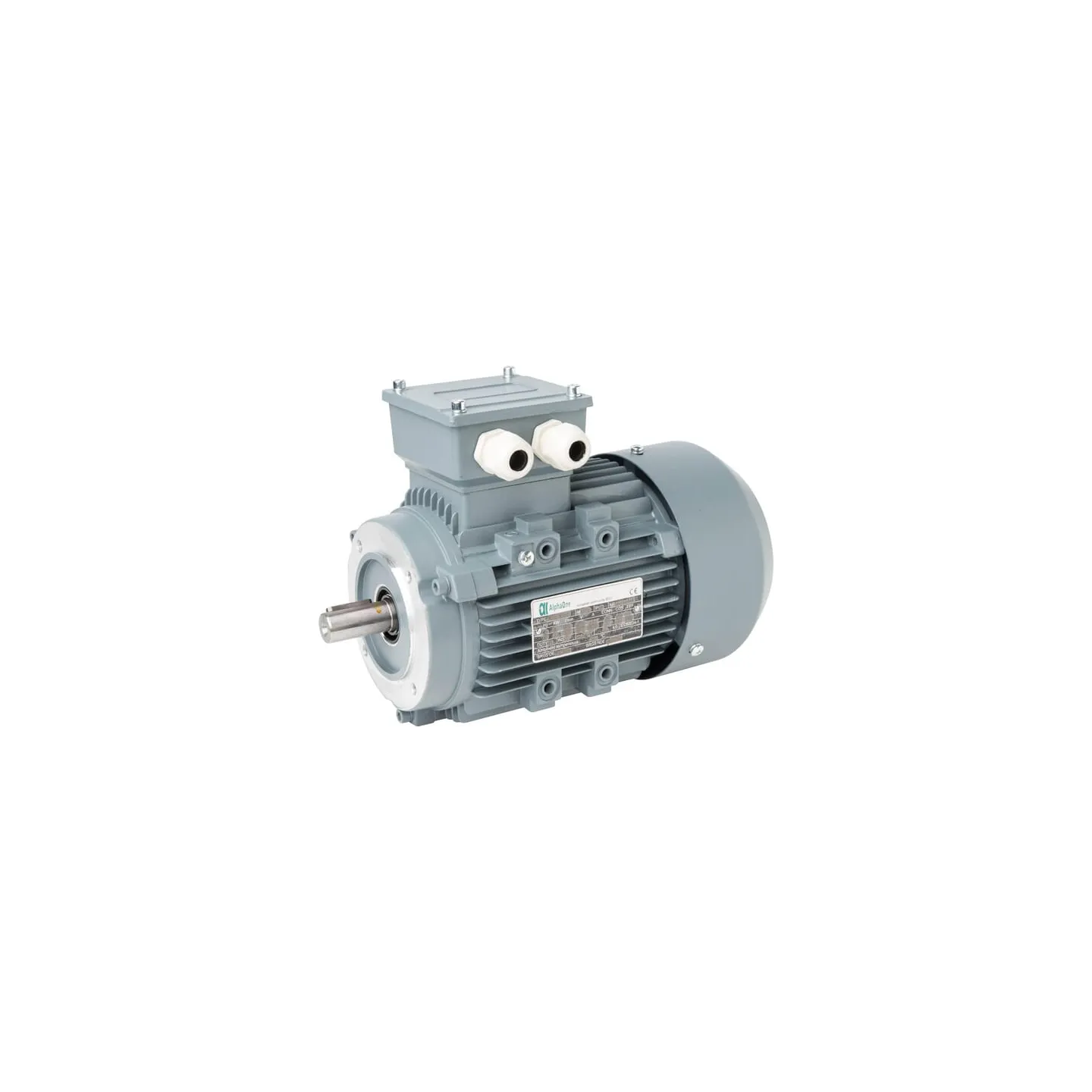 Electric motor 1,1 kW  015603 AGRALV