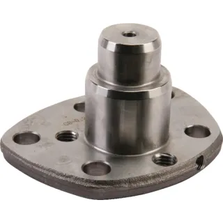 King pin  02554335010N AGRALV