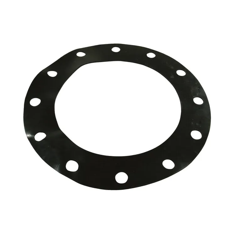 Gasket for 10 normflange  1033980Z AGRALV 1033980