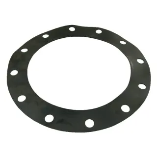 Gasket for 12 normflange  1233980Z AGRALV 1233980