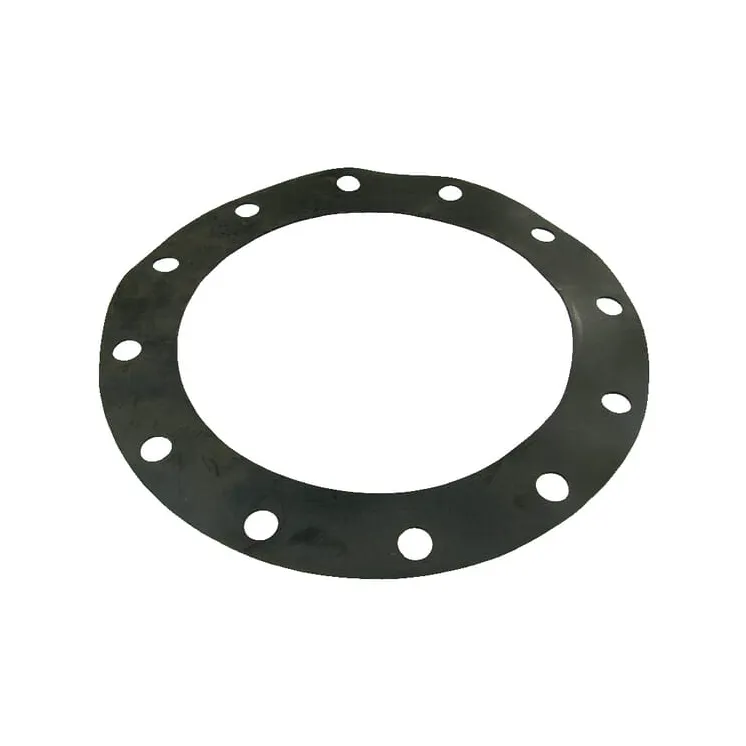 Gasket for 12 normflange  1233980Z AGRALV 1233980