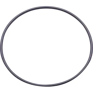 O-ring  14461080N AGRALV