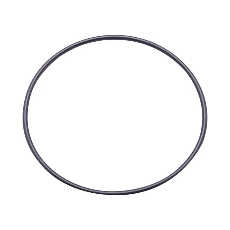 O-ring  14461080N AGRALV