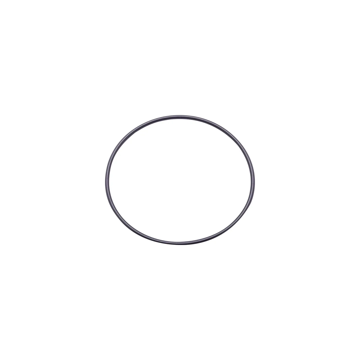 O-ring  14461080N AGRALV