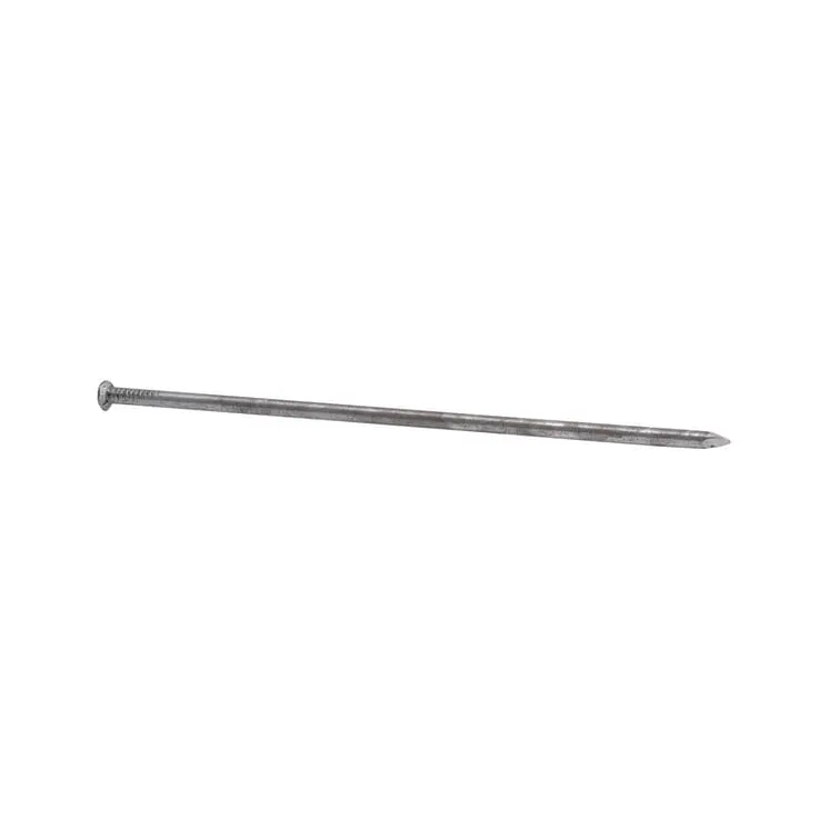 Common nails, 12  1545130090 AGRALV