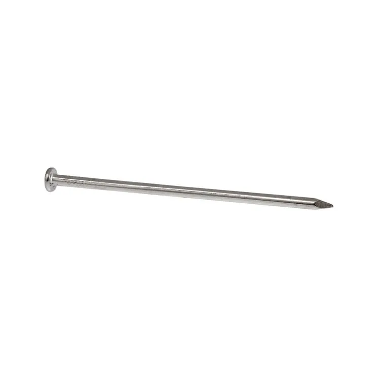 Common nails, zinc plated, 5,0  1545149045 AGRALV