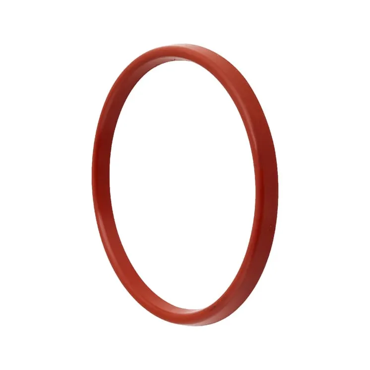 Gasket for tank, 10 L  1580011011S AGRALV