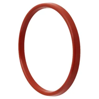 Gasket for tank, 20 l  1580ALF532 AGRALV