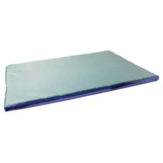 Disinfection mat 85x60x3cm  1640452020 AGRALV VV0184 VV0592