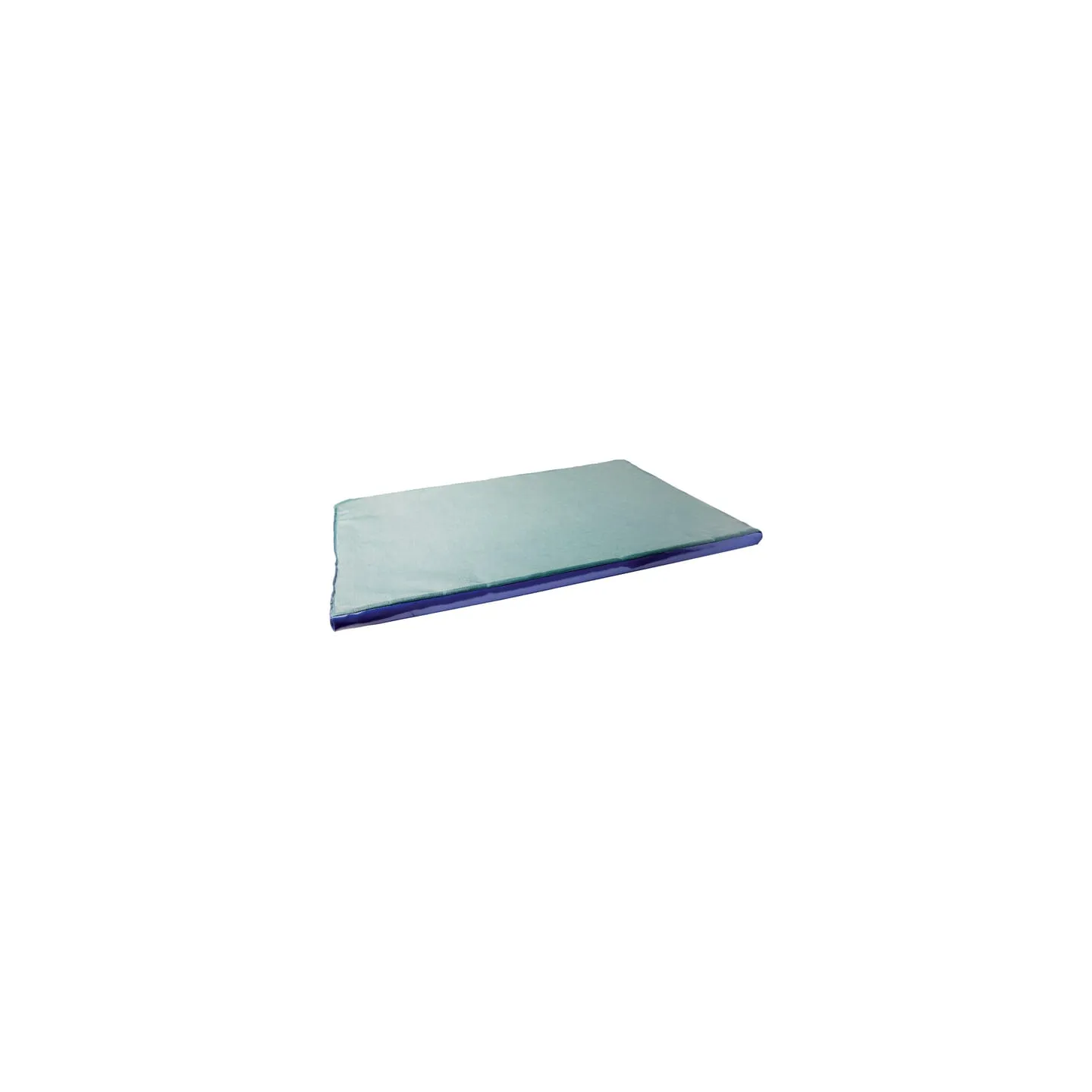 Disinfection mat 85x60x3cm  1640452020 AGRALV VV0184 VV0592