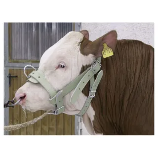 Bull halter Leather Reinforced  1630220202 AGRALV