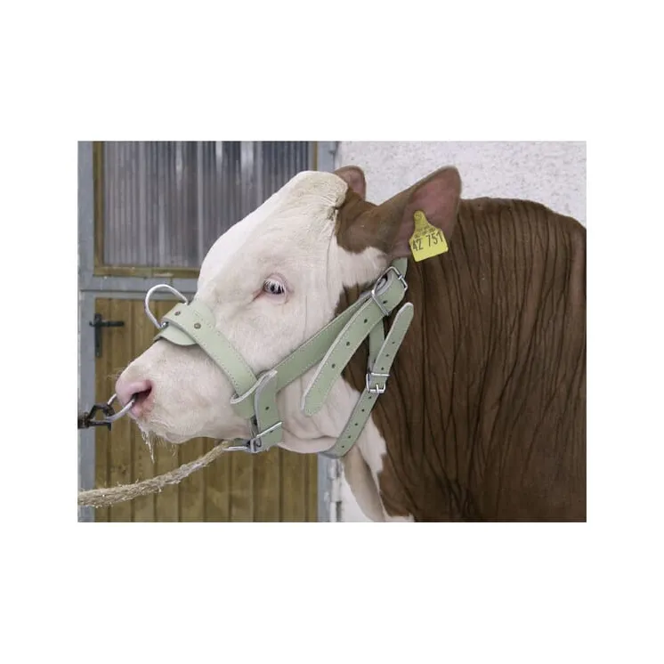 Bull halter Leather Reinforced  1630220202 AGRALV