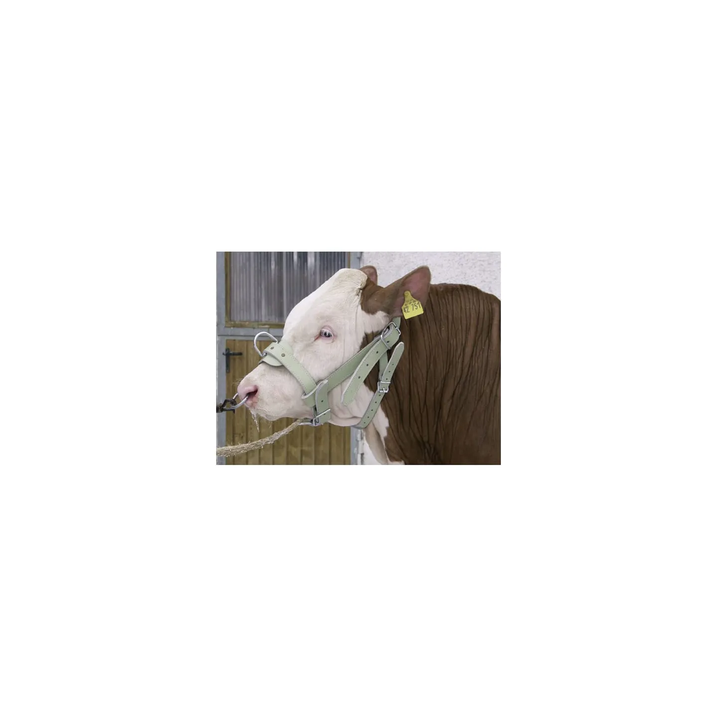 Bull halter Leather Reinforced  1630220202 AGRALV