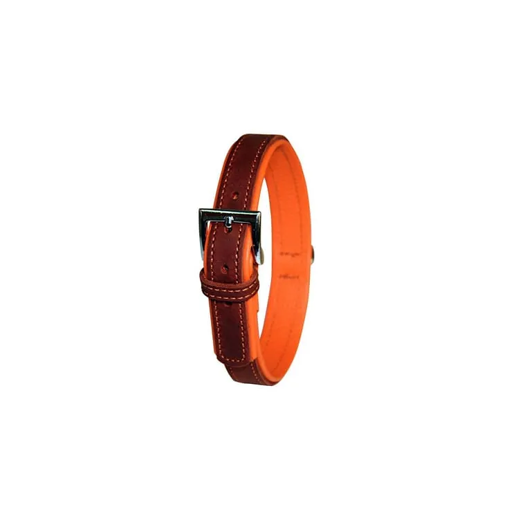 Collar Vegas 46-52cm  168682031 AGRALV