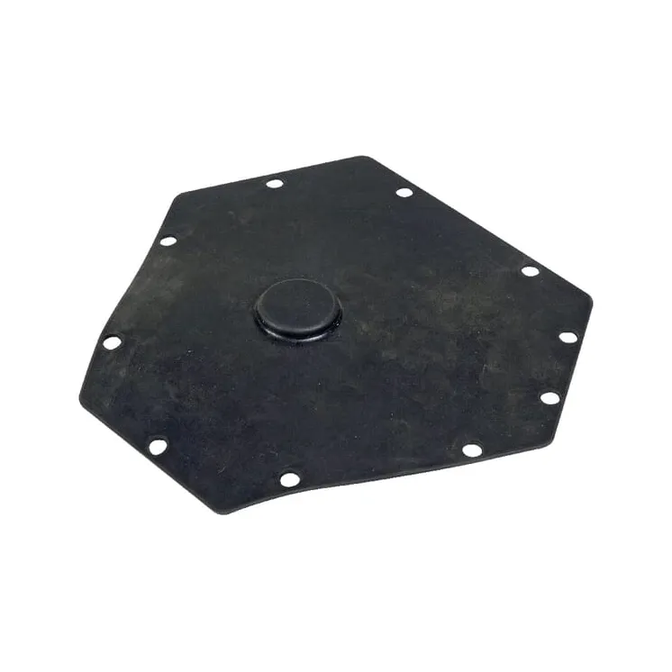 Membrane for Master Flow water level controller  16005003011 AGRALV