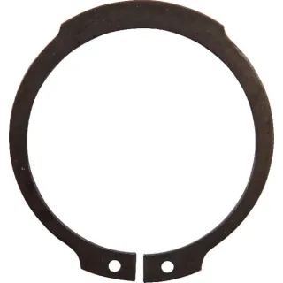 Circlip  214100201N AGRALV