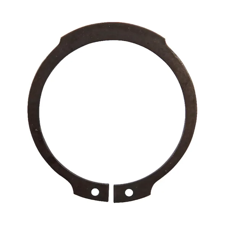 Circlip  214100201N AGRALV