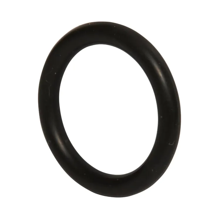 Gasket  215300510N AGRALV