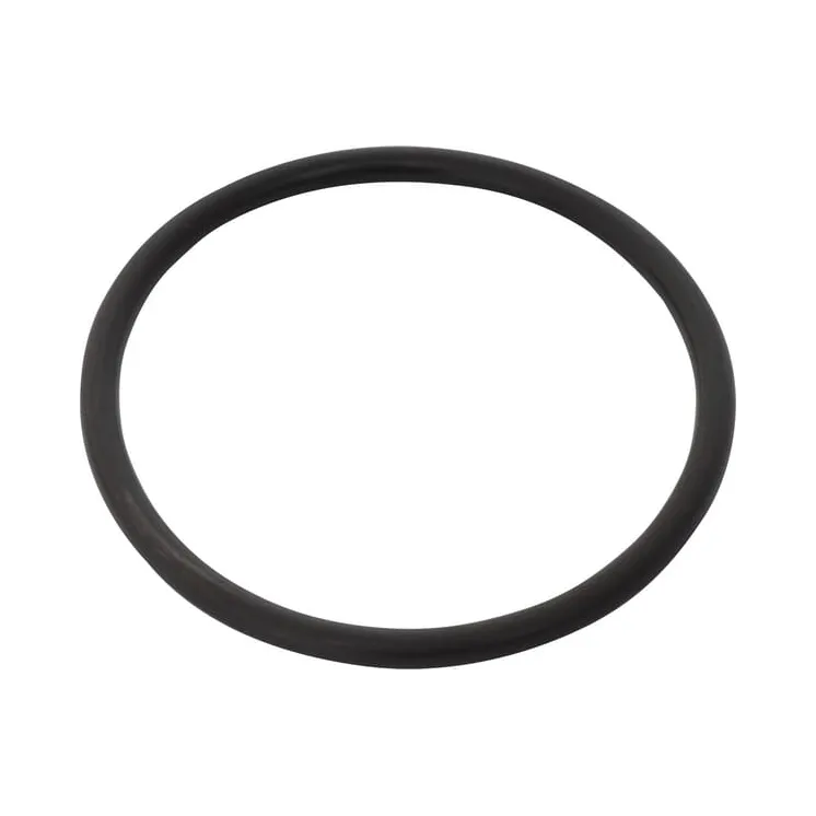 Gasket  215390450N AGRALV