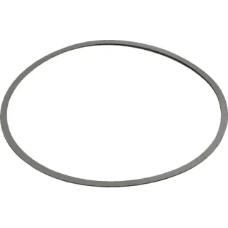 Shim 0,2 mm  2137256ELR AGRALV