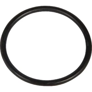 O-ring  215301180N AGRALV