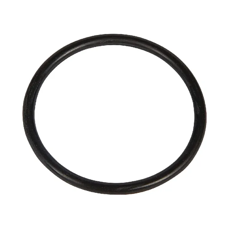 O-ring  215301180N AGRALV