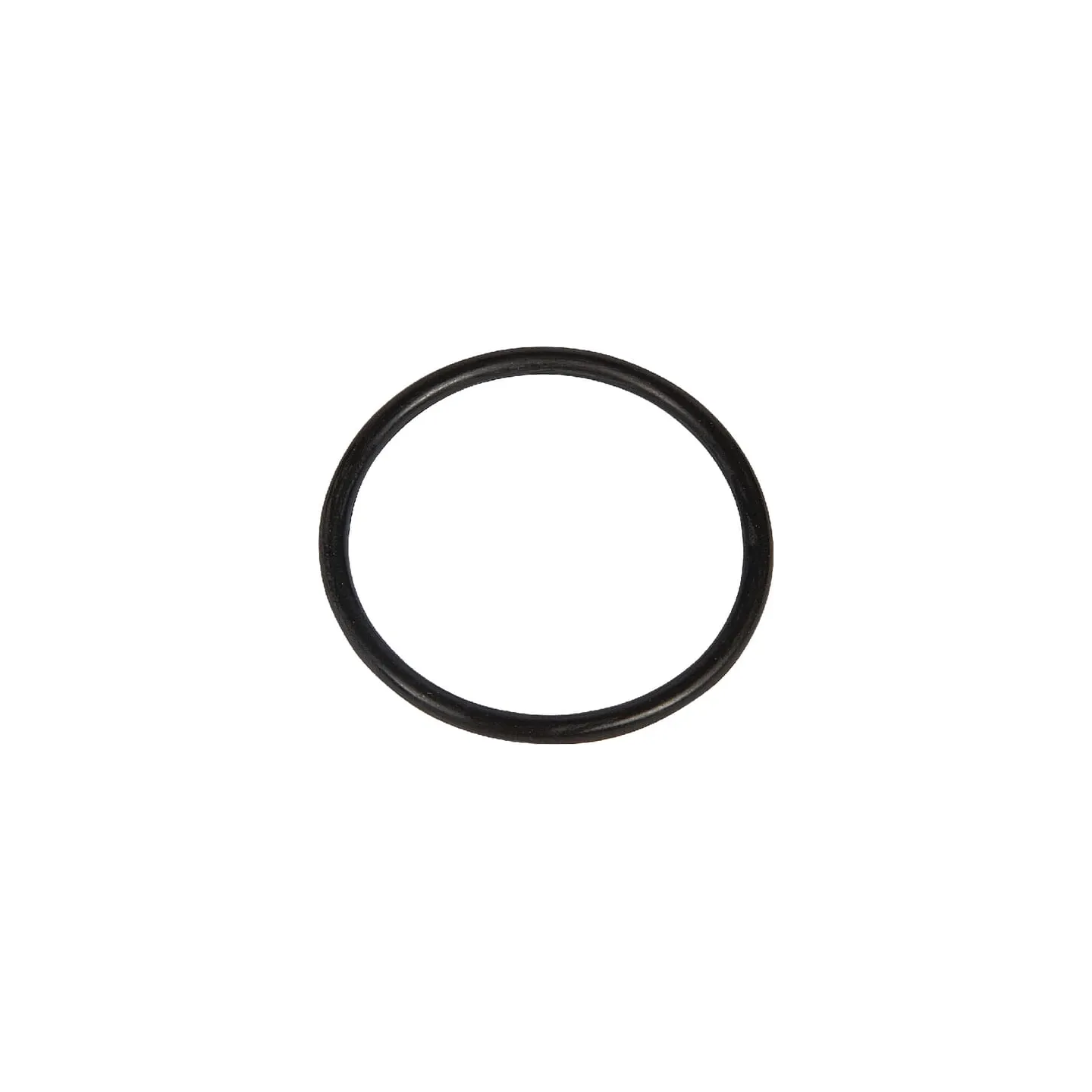 O-ring  215301180N AGRALV