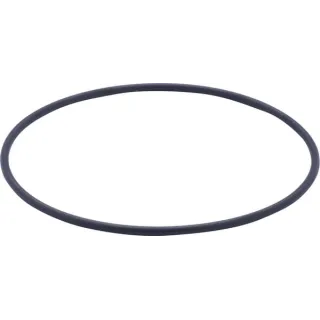 O-ring  215390250N AGRALV