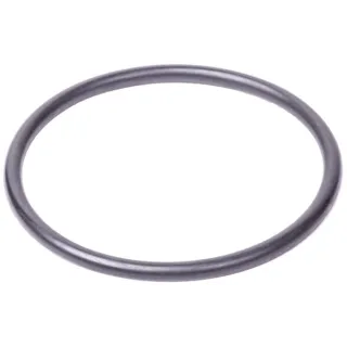 O-ring  215311340N AGRALV