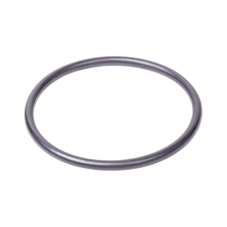 O-ring  215311340N AGRALV