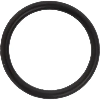 Blīve 215300620N AGRALV