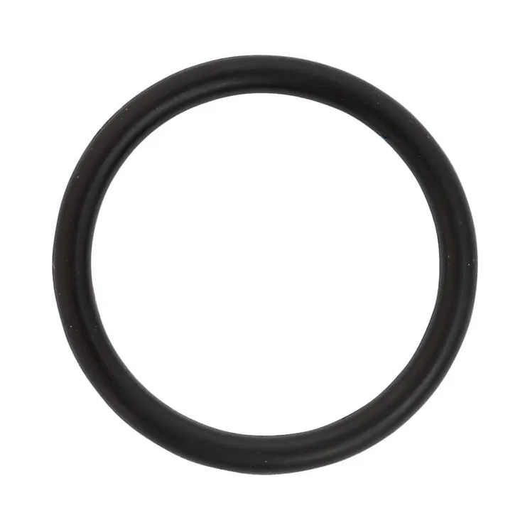 Gasket  215300620N AGRALV