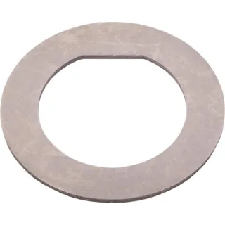 Washer  3613276M1N AGRALV