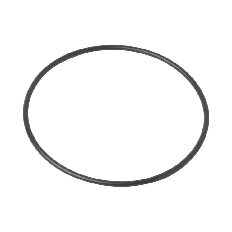 O-ring  4966231N AGRALV