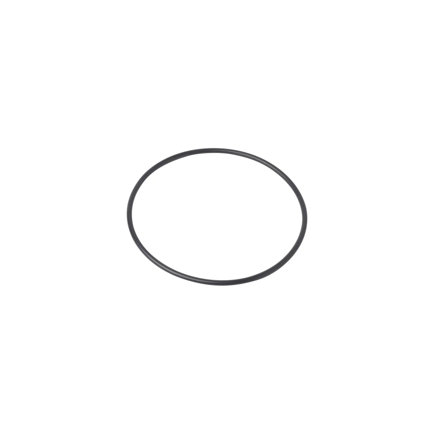 O-ring  4966231N AGRALV
