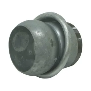 Male 5 thr. tail 2  5126002Z AGRALV