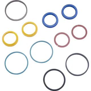 Seal kit  5194205N AGRALV