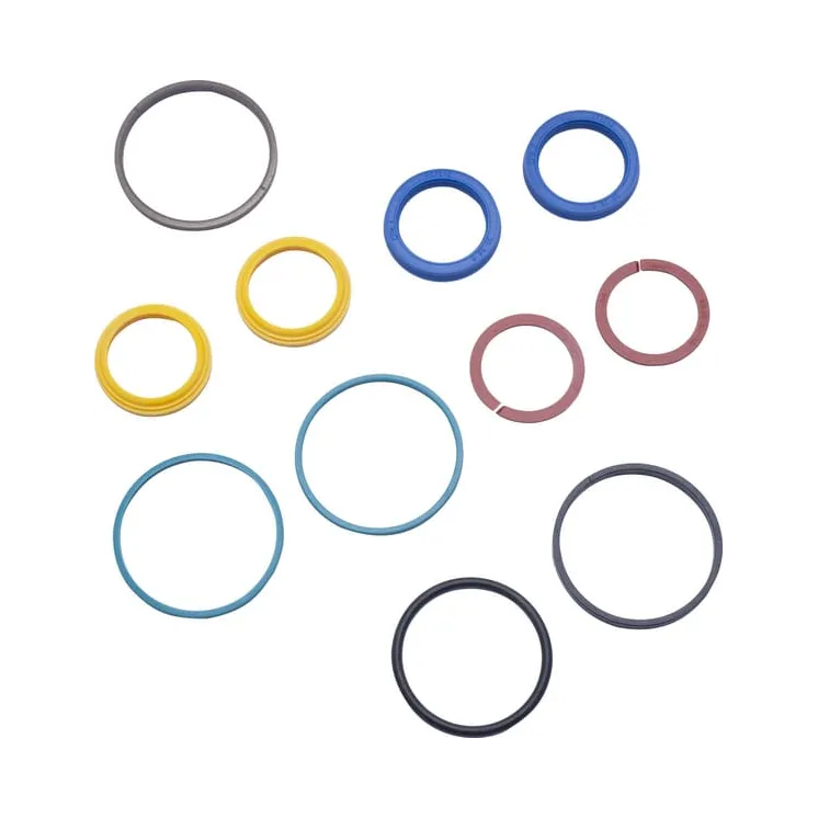 Seal kit  5194205N AGRALV