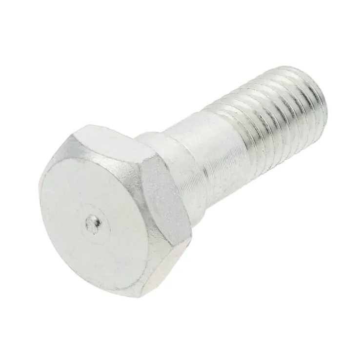 Brake disc bolt  80227004N AGRALV