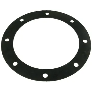 Gasket for 8 E-flange  8329800Z AGRALV
