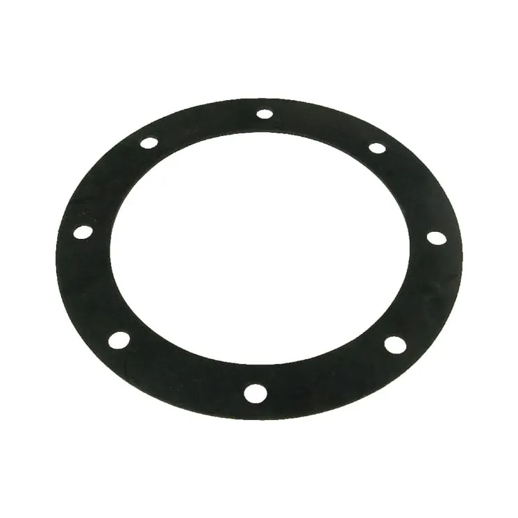 Gasket for 8 E-flange  8329800Z AGRALV