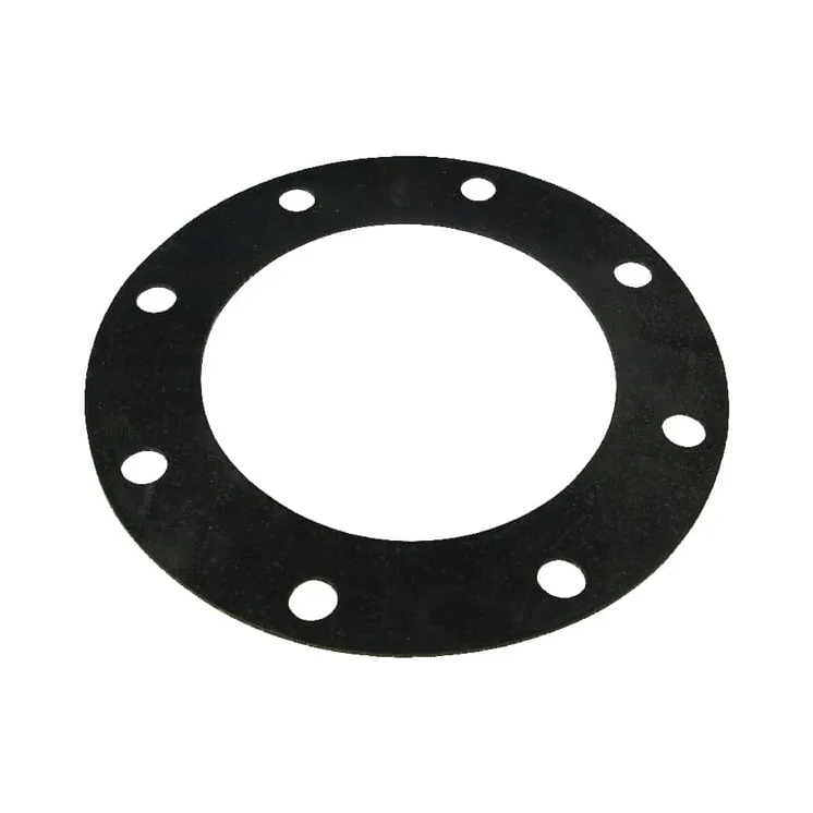 Gasket for 8 normflange  8339800Z AGRALV