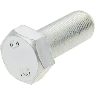 Crankshaft pulley bolt  89003011N AGRALV