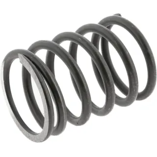 Head valve spring, outer  89005501N AGRALV