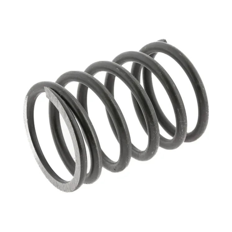Head valve spring, outer  89005501N AGRALV