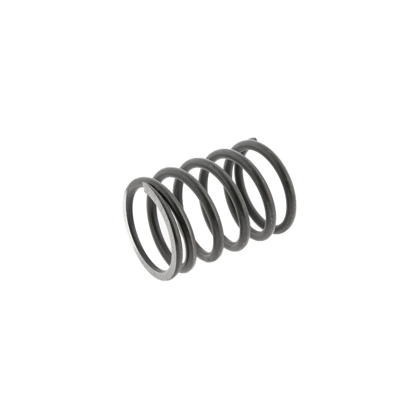 Head valve spring, outer  89005501N AGRALV