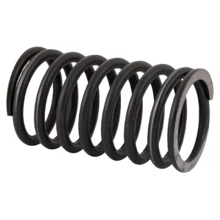 Head valve spring, inner  89005502N AGRALV